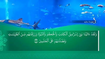 تحسين ابراهيم دوسكي - تەفسیرا سورة الجاثية