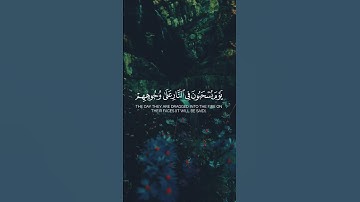 سيهزم الجمع ويولون الدبر || القارئ | صلاح الباجي - سورة القمر