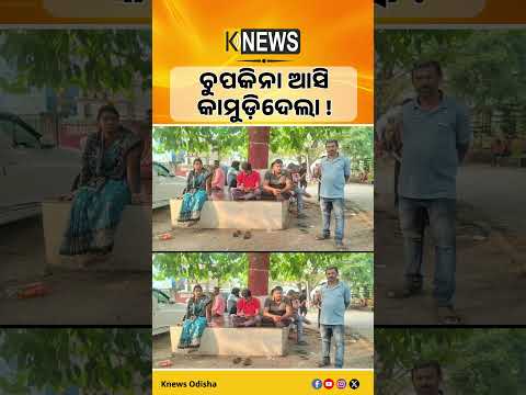 ସାର ପକାଇବାକୁ ଚାଷ ଜମିକୁ ଯାଇଥିଲେ, ସାପ କାମୁଡ଼ାରେ ଚାଷୀଙ୍କ ମୃତ୍ୟୁ | Anandapur News