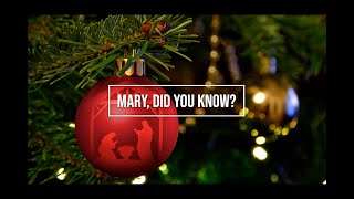 Mary, Did You Know? / Christmas piano instrumental with lyrics