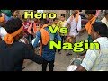 Hero Vs Nagin Tasa Bajna🎷🎷🎷🎷 Mp3