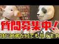 新コンテンツ「特撮質問箱」の質問を募集中!【特撮姉弟が何でも答えます】