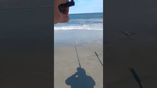 SHARK On A Crowded Beach PART 1 #fishing #saltwater #fish #lowcountry #surffishing #fun #vacation