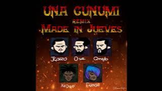 UNA CUNUMI REMIX - Qmayb, Faraon Love Shady, J Gonzo, Xvideo Token & Ose