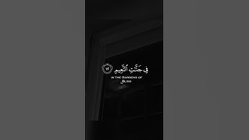 القرآن الكريم | { والسابقون السابقون } | القارئ شريف مصطفى 🤍🍃