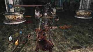 The Alonne Captain has a special backstab animation
