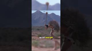 🦃Real Ostrich 🆚 Fake Ostrich‼️