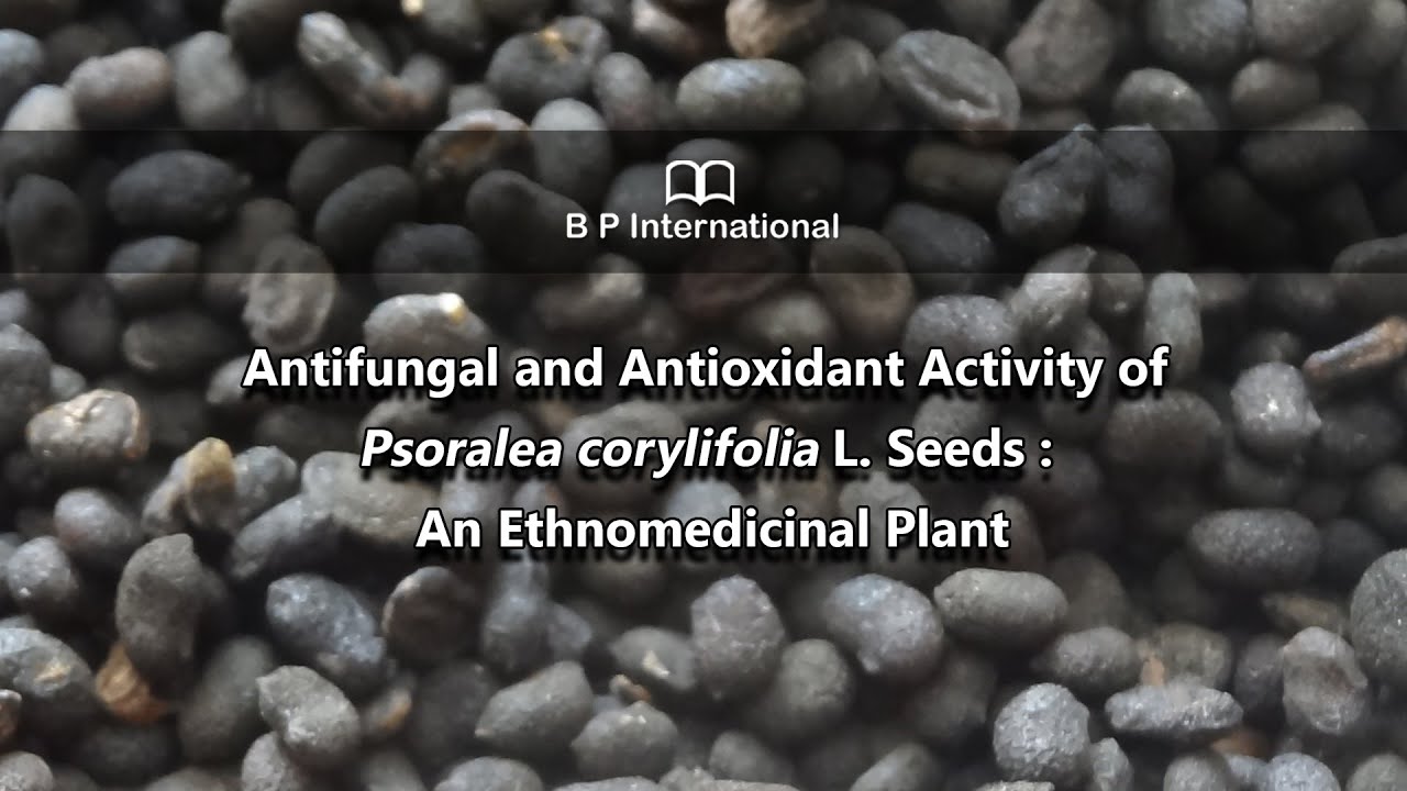 Antifungal and Antioxidant Activity of Psoralea corylifolia L. Seeds ...