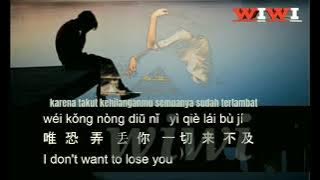 Xia Bei Zi Bu Yi Ding Hai Neng Yu Jian Ni -下辈子不一定还能遇见你  Lyric [With Pinyin | Vietsub | English Sub]