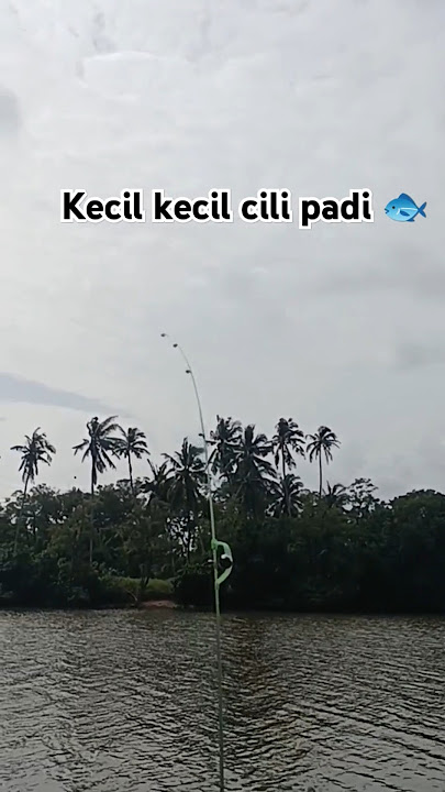 Detik detik mendebarkan para pemancing 🎣