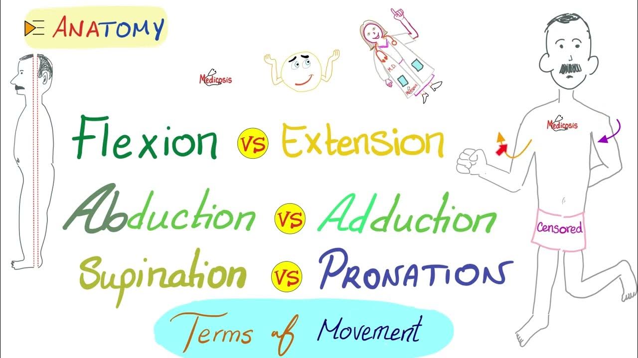 movement-flexion-extension-abduction-adduction-circumduction