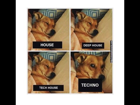 T0t0 Hardtek Tribetek Mix Aug 22