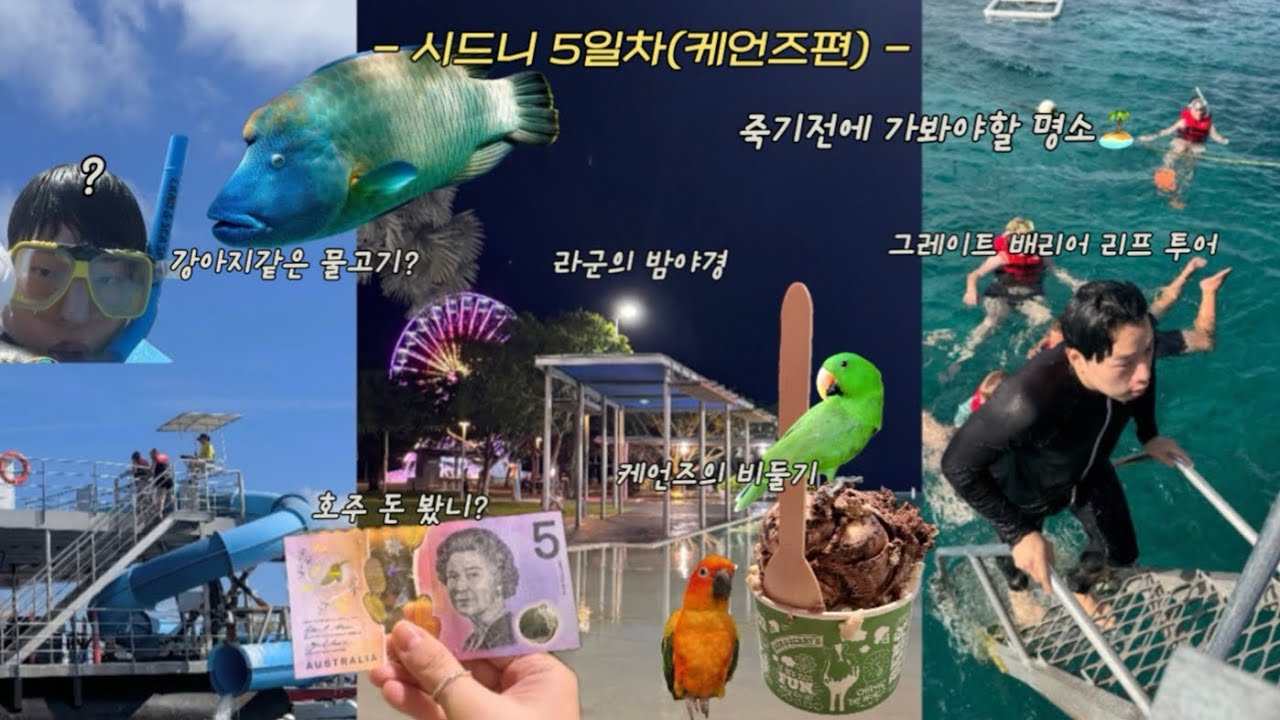 🇦🇺호주 5일차_🐠케언즈2일차_🦑그레이트배리어 리프 꿀팁🏊🏻‍♂️_ 케언즈스노쿨링 🥽_🐨호주케언즈_케언즈 라군🏄🏽‍♂️_수영장
