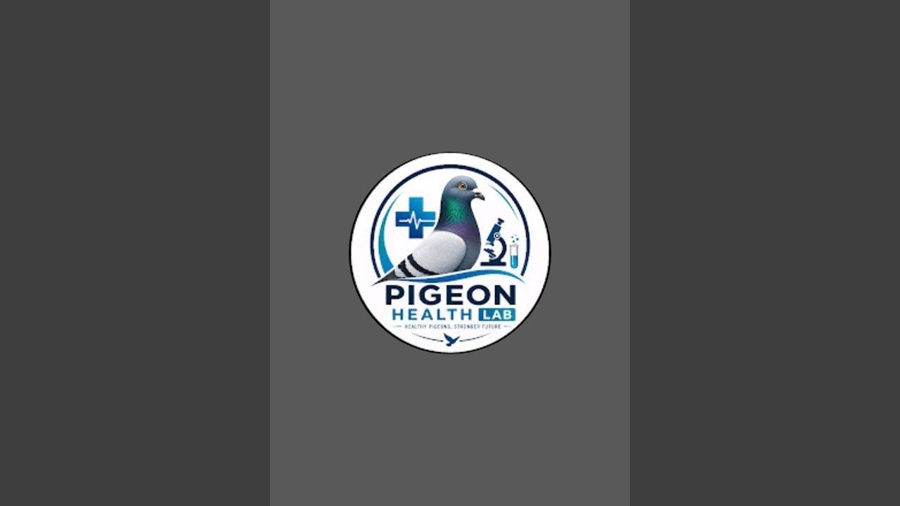 Pigeon Health Lab is live!