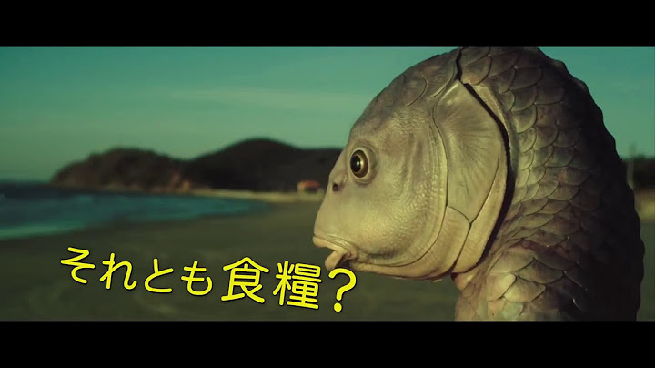 映画『フィッシュマンの涙』予告編