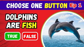 The Ultimate General Knowledge Challenge | True or False Quiz Ep 1