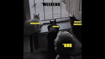 Wen Suddenly A Bug Enter In a Program While Finalization |Reactions| Developer|Tester|PM