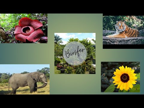 PENGERTIAN BIOSFER. LANGSUNG
