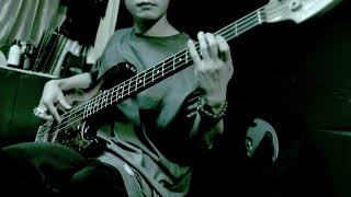 Somebody That I Used To Know cover - Gotye - Bass Cover