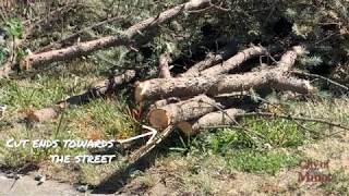 How: To Dispose of Yard Waste