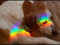 Create  rainbow  effect on your photography images