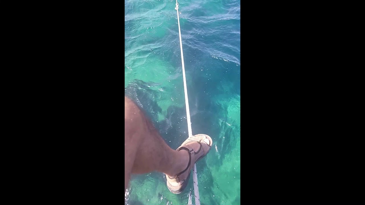 Ça souffle ici à L'Île-Rousse en ce moment👍⏯️👍