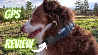 SpotOn GPS Collar and Virtual Fence Review