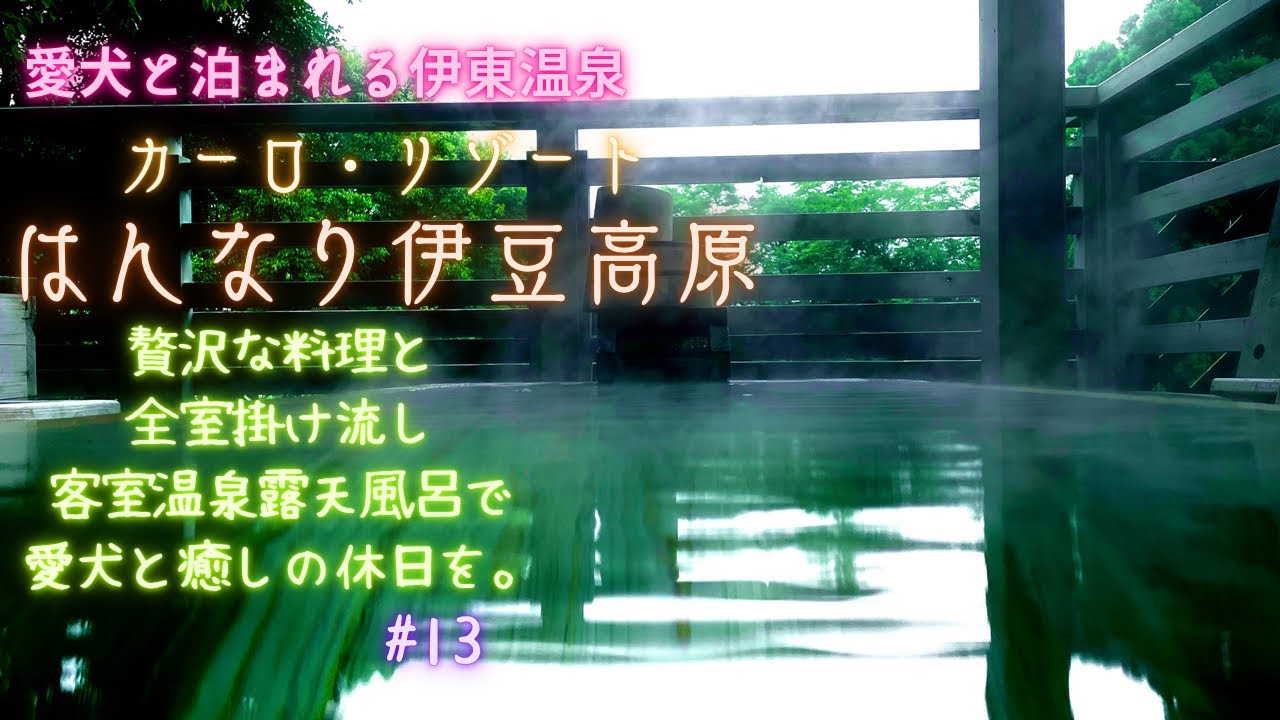 【愛犬と旅行】愛犬泊まれる宿〜カーロ・リゾートはんなり伊豆高原〜贅沢な料理と全室掛け流し客室温泉露天風呂で愛犬と癒しの休日を。