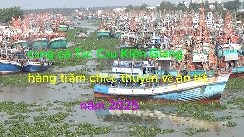 cảng cá khủng Tắc Cậu Kiên Giang, hàng trăm ngàn chiếc thuyền về ăn tết, năm 2025.
