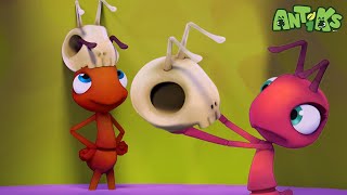 The Big Pitcher | 🐛 Antiks 🐜 | Funny Cartoons for Kids | Moonbug