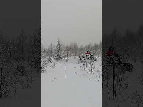 AODES 1000 в