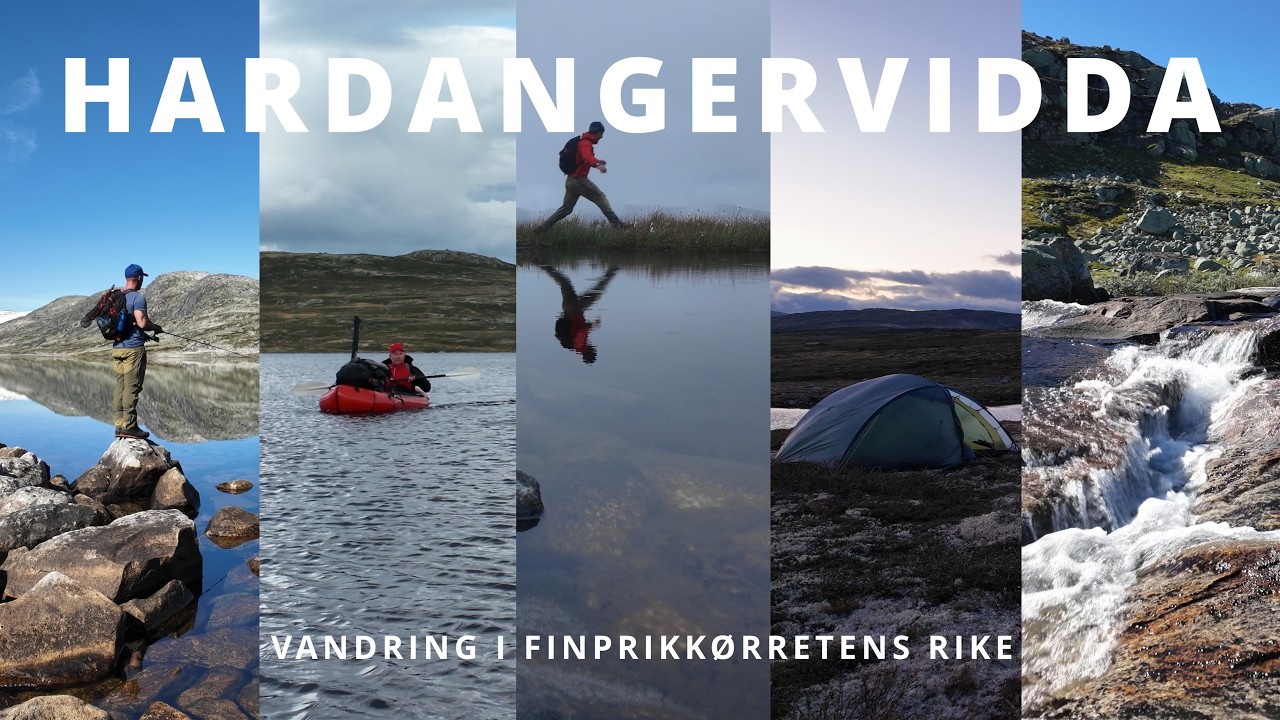 Hardangervidda - Vandring i finprikkørretens rike - Full Movie - YouTube