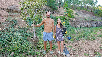 STARTING OUR FOOD FOREST & SOIL TESTING on our Homestead 🍊