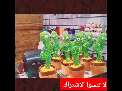 الصبارة الراقصة وهي تغني ادلعي ياموزة