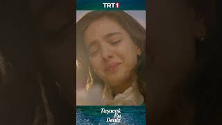 "Beni kim sattı?" #taşacakbudeniz #trt1 #shorts