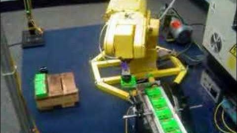 Dunwoody ASRO Program - Small Fanuc Palletizing Robot