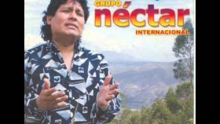 Video thumbnail of "Grupo néctar - Internacional - El Arbolito"