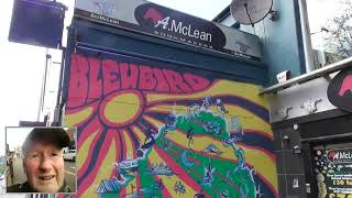 Bleubird N Ireland Street Art Mural by Karen aka Cha Cha Ballyhackamore by Tom McClean Positive Belfast 141 views 5 days ago 3 minutes, 35 seconds