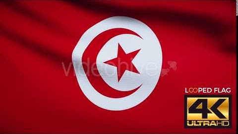 Flag 4K Tunisia On Realistic Looping Animation With Highly Detailed Fabric