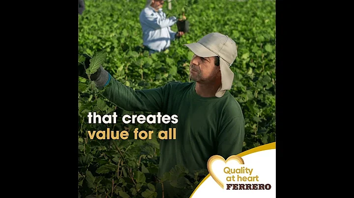 Our approach to responsibly sourcing hazelnuts | Quality at heart