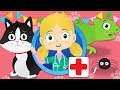 Sarah The Cat Visits Dr Poppy&#39;s Pet Rescue | Animals For Kids