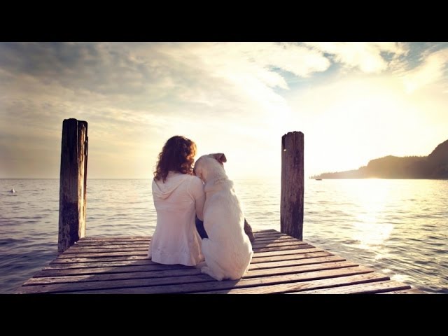 Comment Surmonter Le Deces De Son Animal Youtube Comment Surmonter Le Deces De Son Animal Youtube
