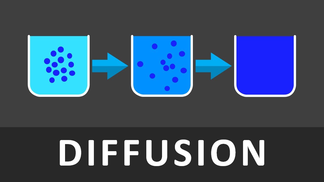 Diffusion Einfach erkl 228 rt in 102 Sekunden Was ist Diffusion 