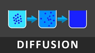 Diffusion Einfach erklärt in 102 Sekunden | Was ist Diffusion | Grundlagen Biologie