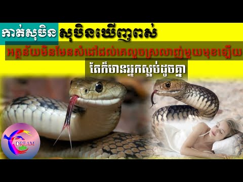 ទំនាយសុបិនឃើញពស់-The dream of seeing a snake