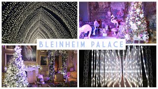 Blenheim Palace | Alice In The Palace & Illuminated Light Trail