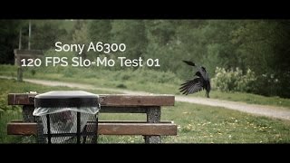 Sony A6300 Slow Motion Test  120 FPS