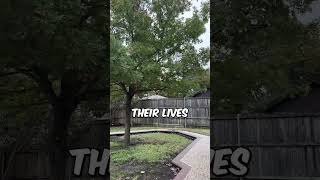 They Planted A Tree In Their Pool #shorts