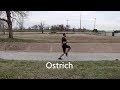 Weird Running Styles