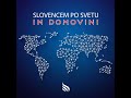 Slovenske knjižnice doma in po svetu -  2. del